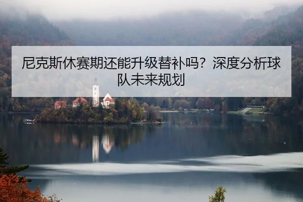 尼克斯休赛期还能升级替补吗？深度分析球队未来规划